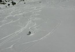 DSCN6326