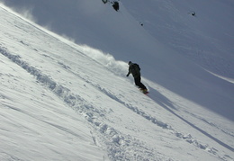 DSCN6383
