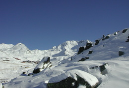 DSCN6427