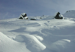 DSCN6490