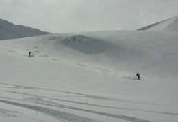 DSCN6524