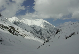 DSCN6557