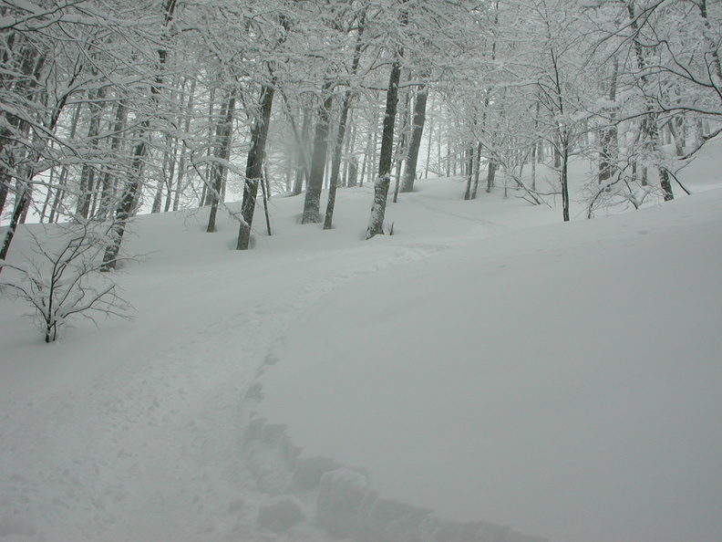 DSCN6584.JPG