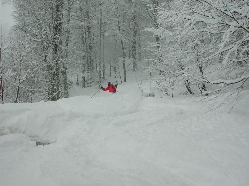 DSCN6587.JPG