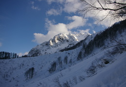IMGP0072