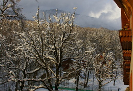 IMGP1080