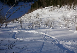IMGP1388